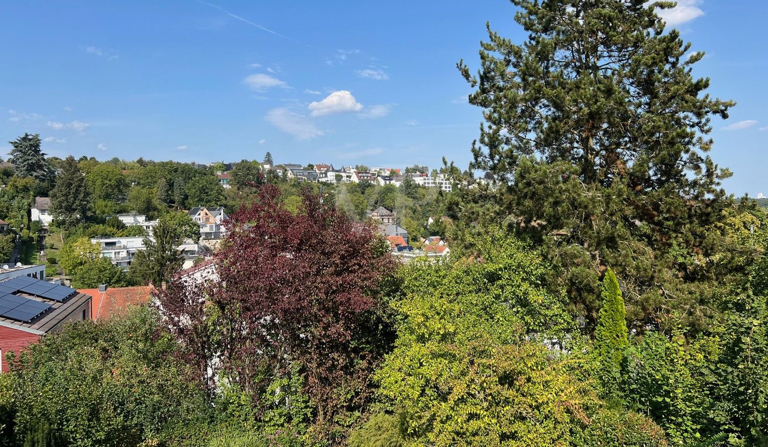 Ausblick
