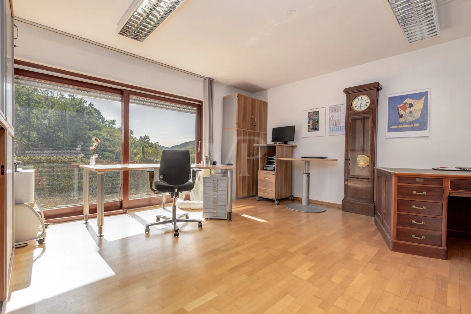 Lichtdurchflutetes Arbeitszimmer