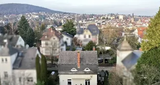 von_poll_real_estate_property_25082166_image_14