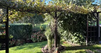 von_poll_real_estate_property_25082132_image_0