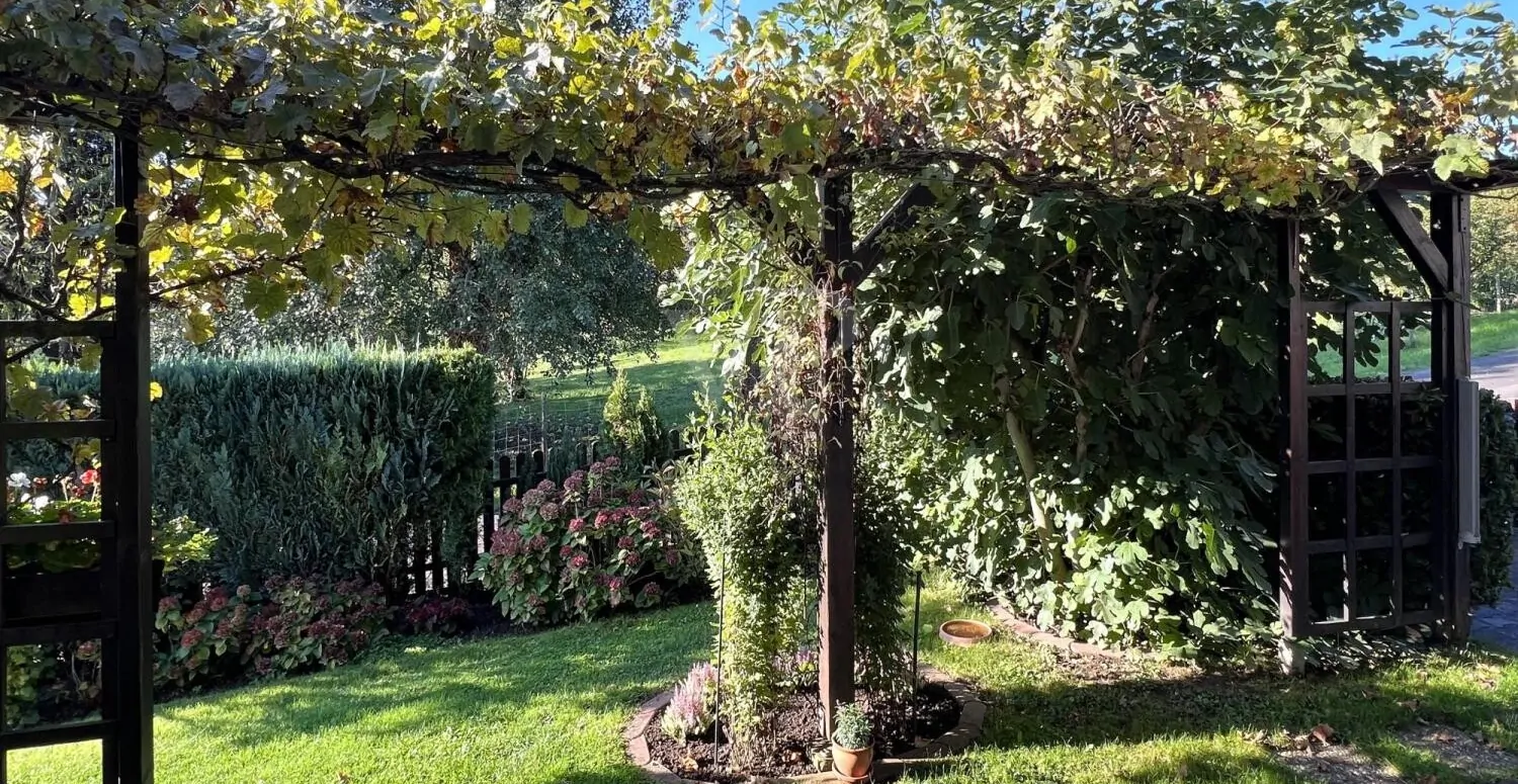 Freistehendes Einfamilienhaus in naturnaher top Lage