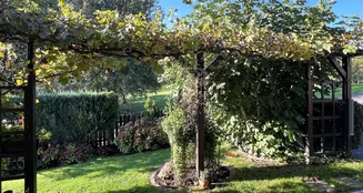 von_poll_real_estate_property_25082132_image_7