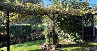 von_poll_real_estate_property_25082132_image_7