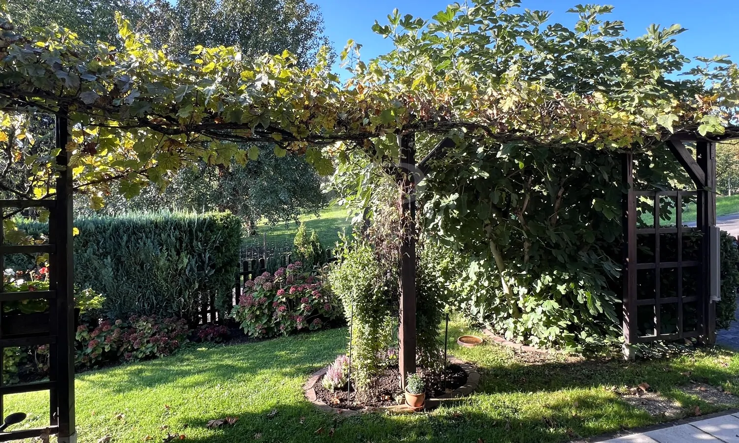 Aussicht von der Terrasse