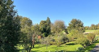 von_poll_real_estate_property_25082132_image_0