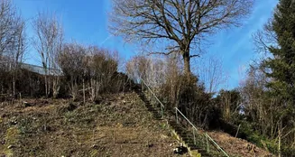 von_poll_real_estate_property_25082052_image_0