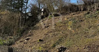 von_poll_real_estate_property_25082052_image_2