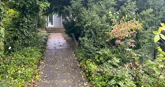 von_poll_real_estate_property_25082124_image_13