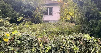 von_poll_real_estate_property_25082124_image_2