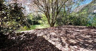 von_poll_real_estate_property_25082056_image_11