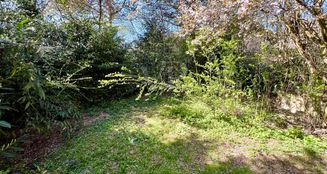 von_poll_real_estate_property_25082056_image_12