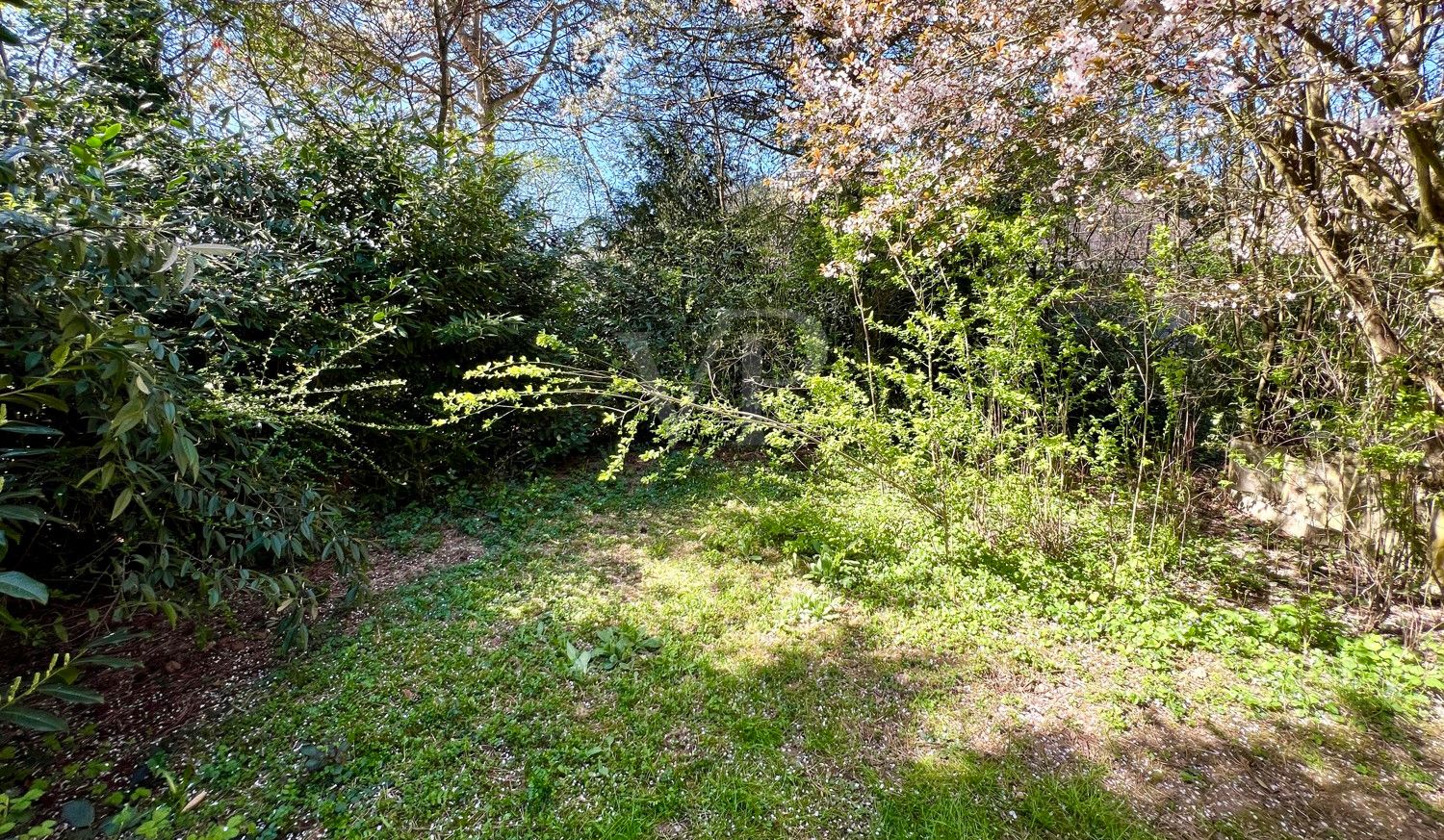 Romantischer Garten