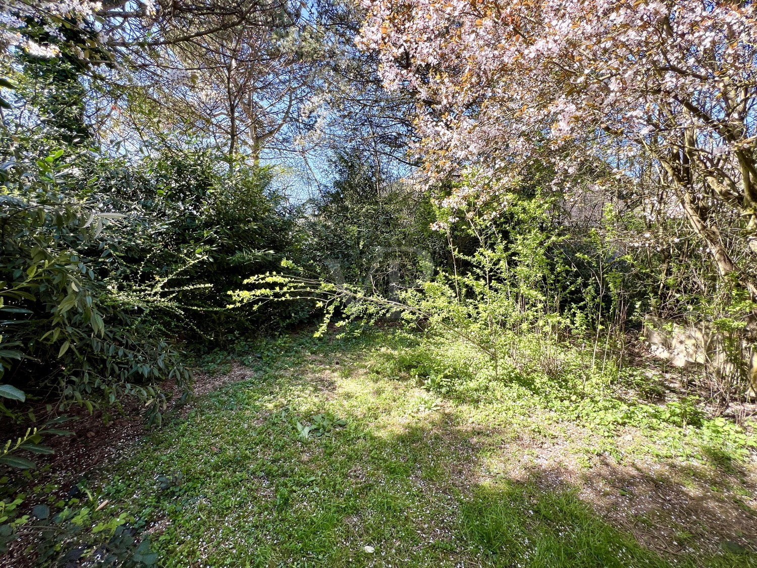 Romantischer Garten