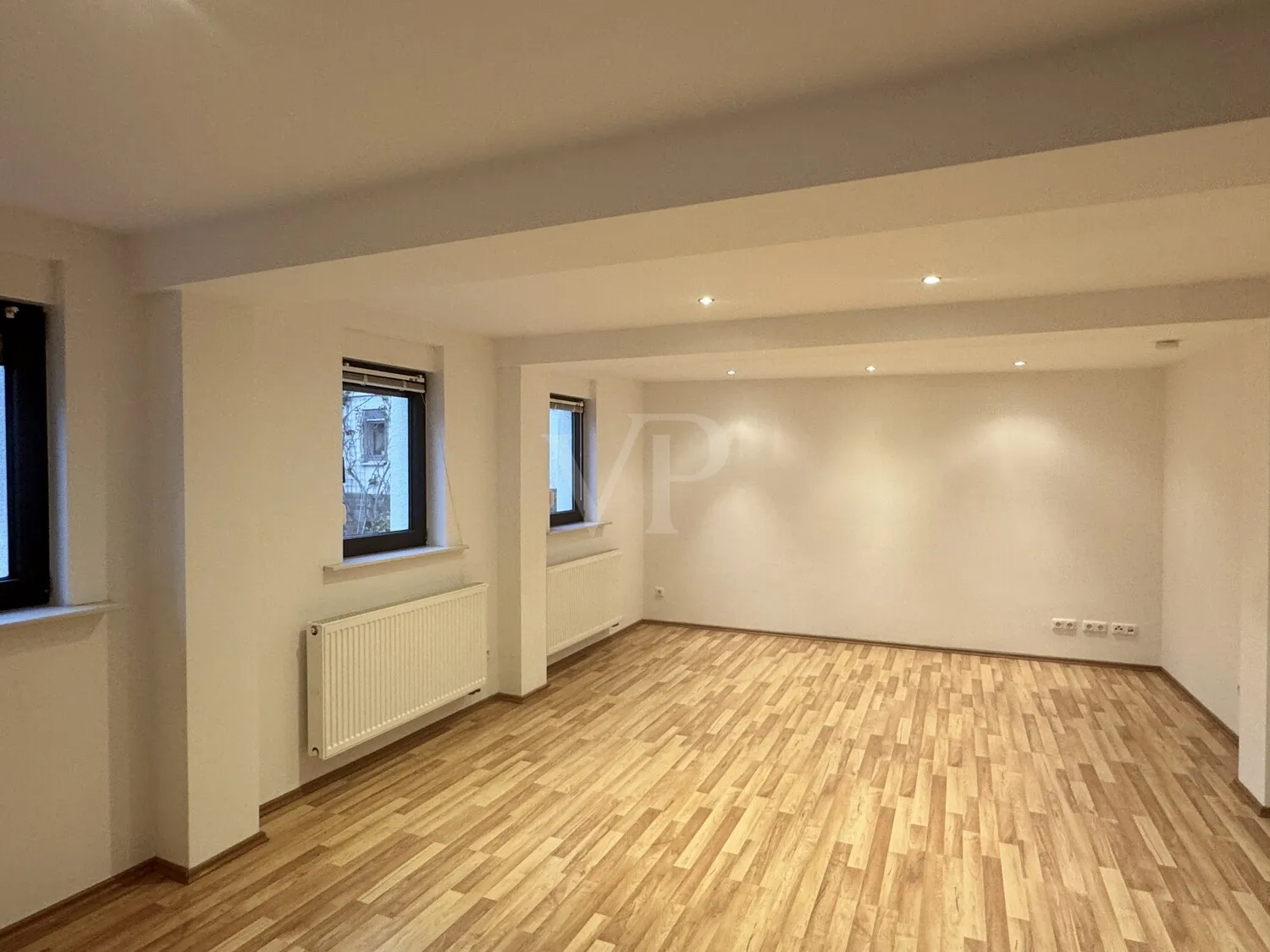Großzügiges Wohnzimmer