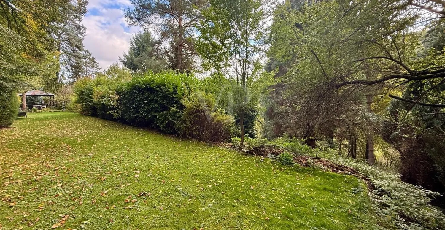 Rarität in Blicklage inmitten der Natur mit viel Privatsphäre im Bauhausstil