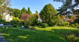 von_poll_real_estate_property_25082121_image_11