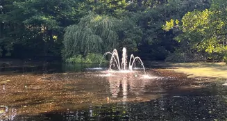 von_poll_real_estate_property_25065030_image_16