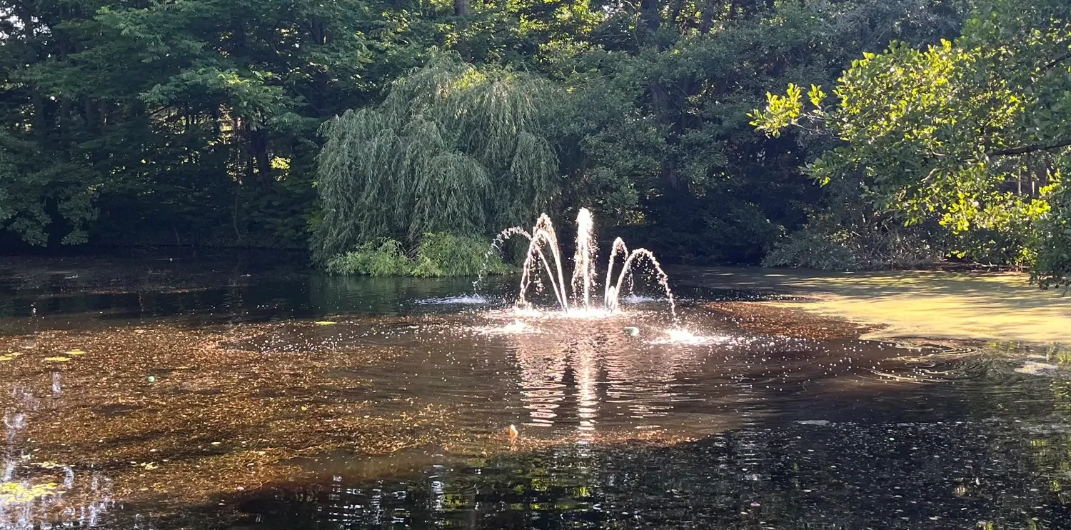 Parkanlage mit Wasserspiel