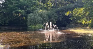 von_poll_real_estate_property_25065030_image_16