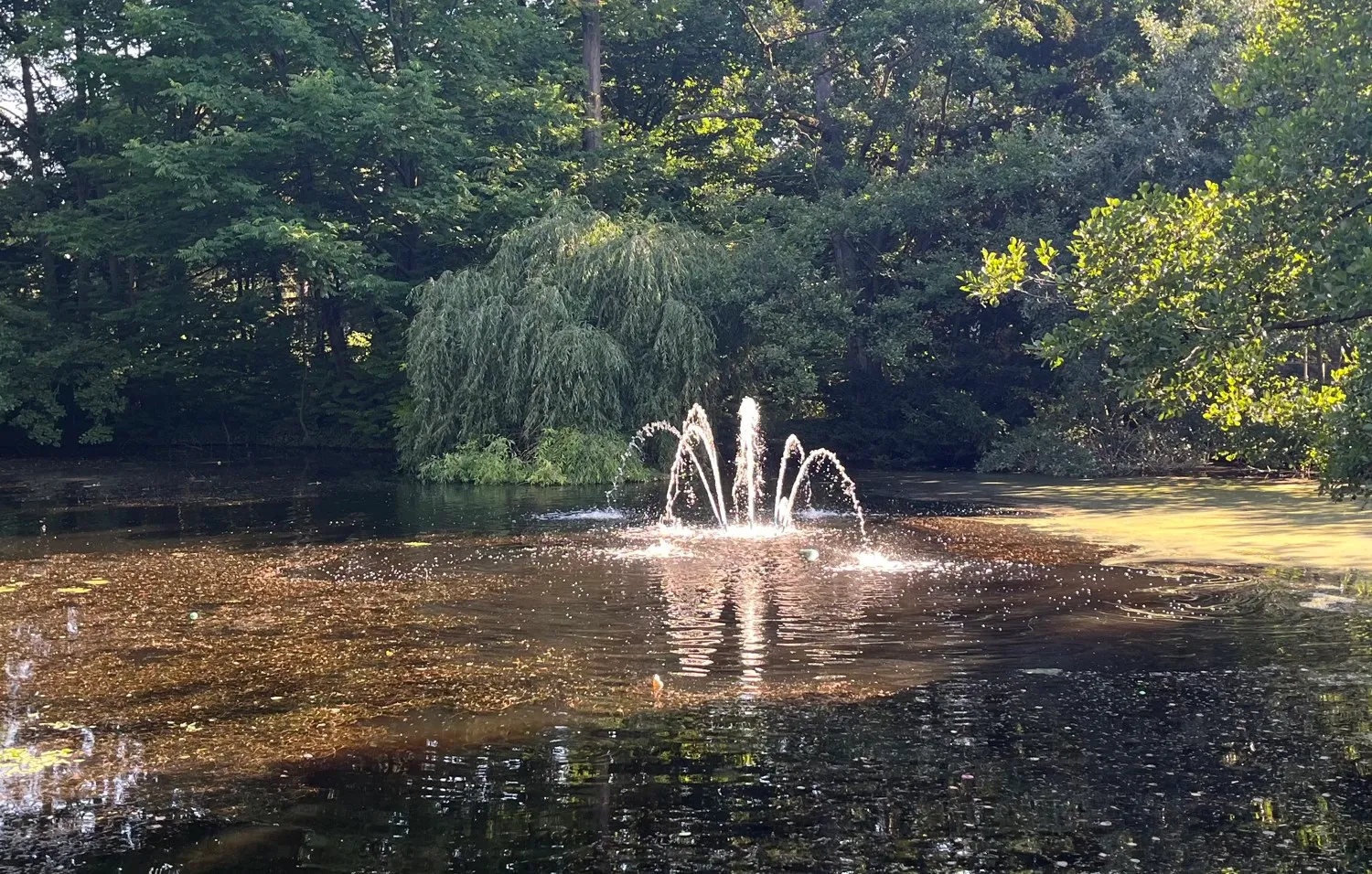 Parkanlage mit Wasserspiel