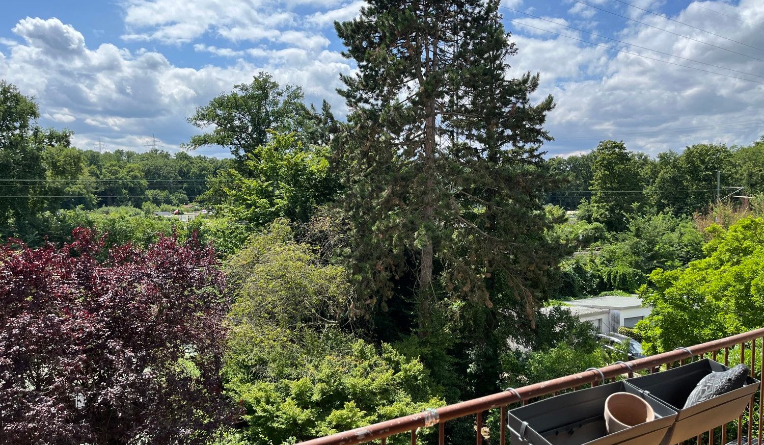 Ausblick
