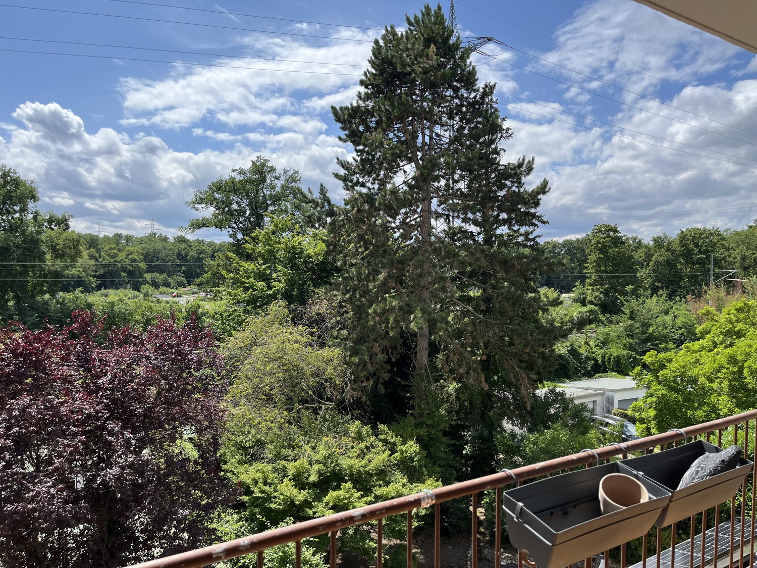 Ausblick