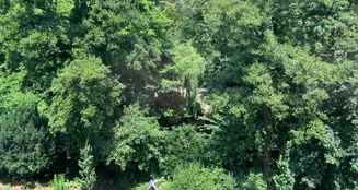 von_poll_real_estate_property_25065030_image_6