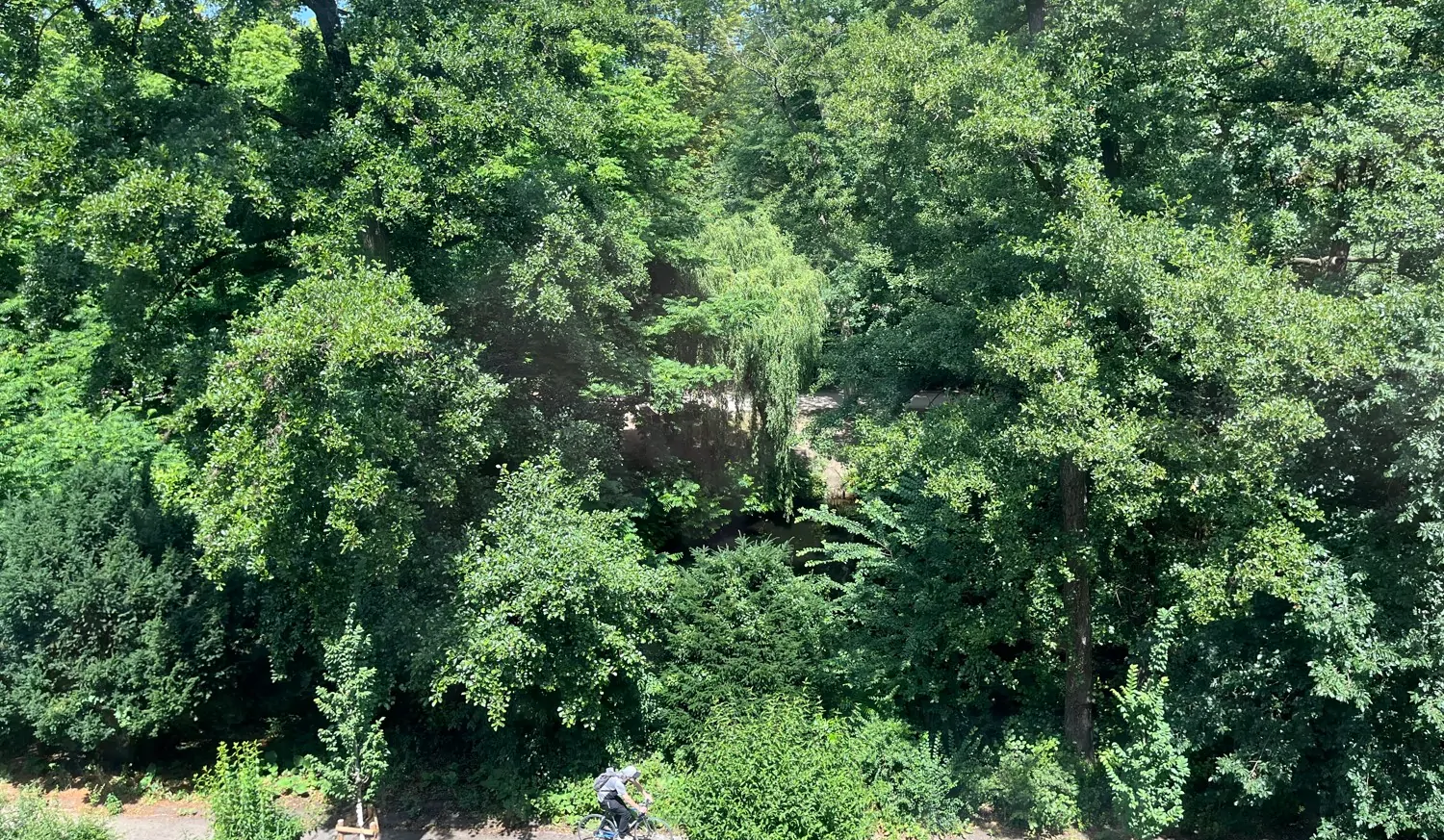 Ausblick auf den Park´´´