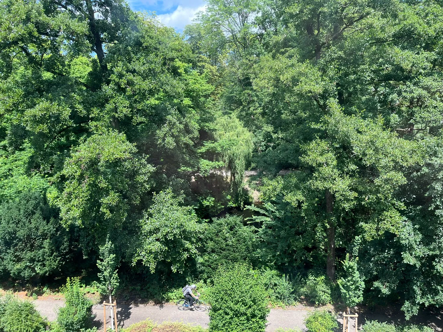 Ausblick auf den Park´´´