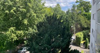 von_poll_real_estate_property_25065030_image_3