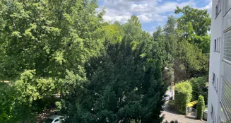 von_poll_real_estate_property_25065030_image_3