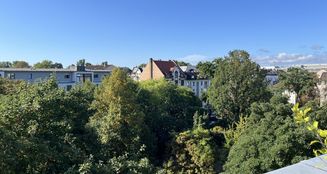 von_poll_real_estate_property_25065037_image_4