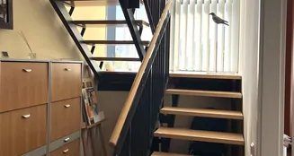 von_poll_real_estate_property_25065037_image_12