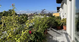 von_poll_real_estate_property_25065037_image_3