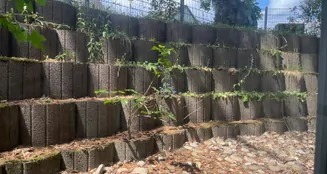 von_poll_real_estate_property_25065031_image_4