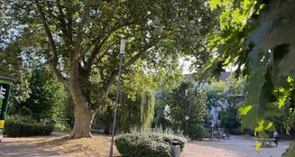 von_poll_real_estate_property_23065037-a_image_12