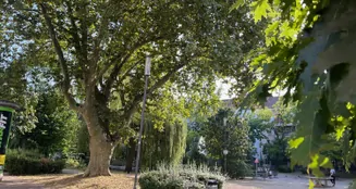 von_poll_real_estate_property_23065037-a_image_12