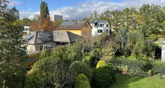 von_poll_real_estate_property_25065039_image_8