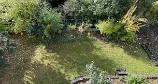 von_poll_real_estate_property_25065039_image_7