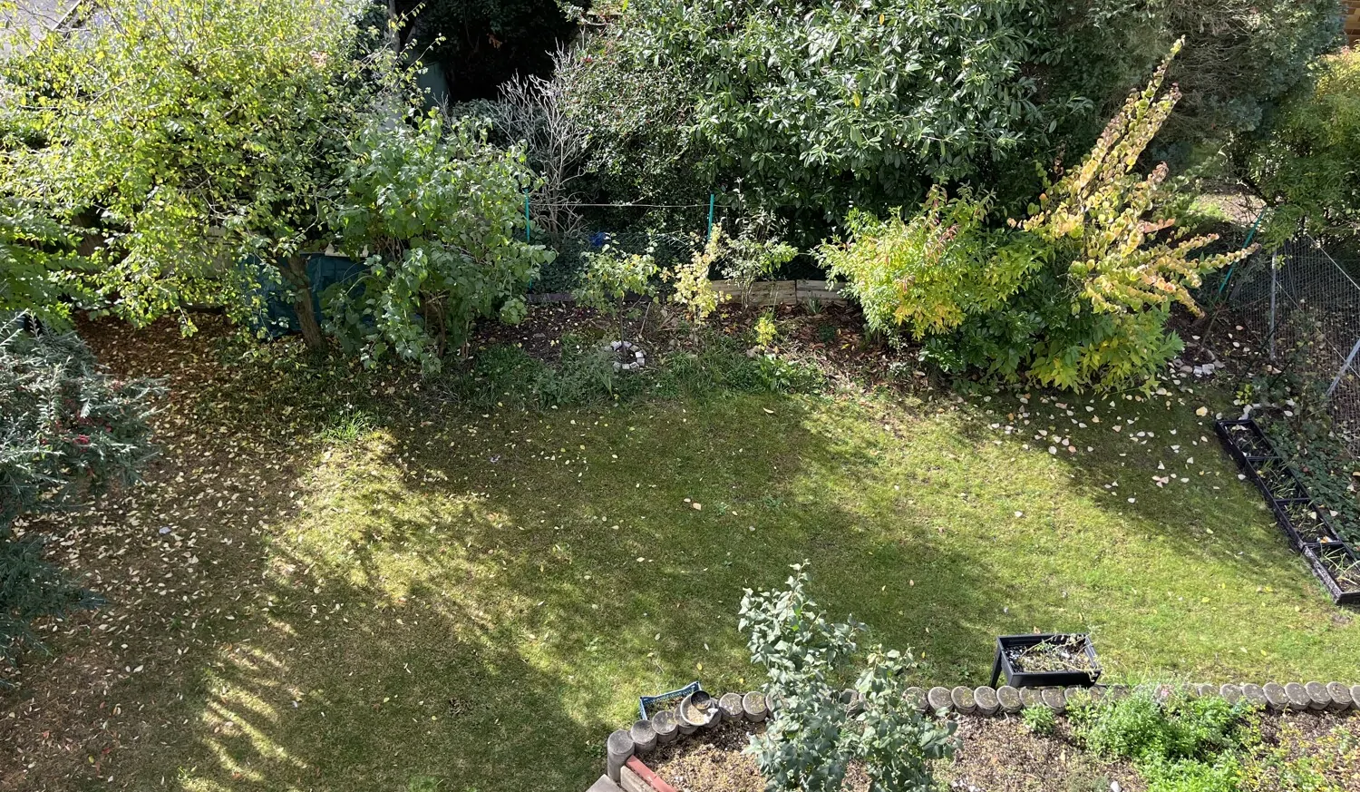 Gartenblick von der Dachterrasse