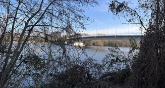 von_poll_real_estate_property_25065045_image_4