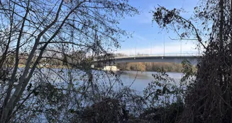 von_poll_real_estate_property_25065045_image_4