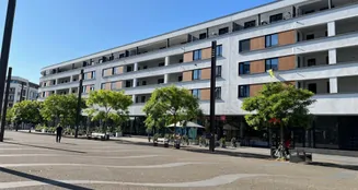 von_poll_real_estate_property_25065045_image_6