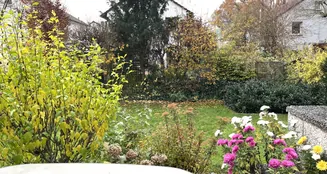 von_poll_real_estate_property_25065044_image_13