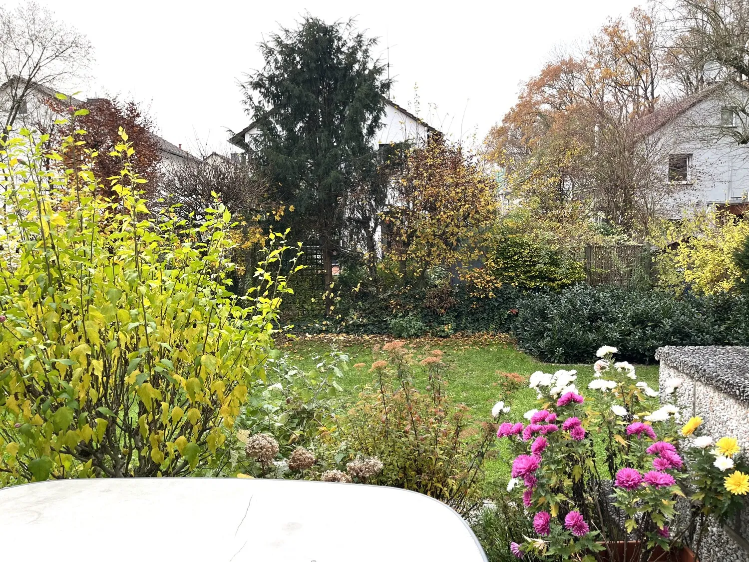 und Zugang zur Terrasse