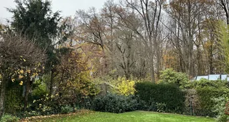 von_poll_real_estate_property_25065044_image_8