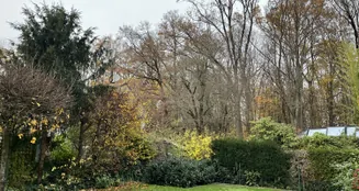 von_poll_real_estate_property_25065044_image_7