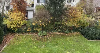 von_poll_real_estate_property_25065044_image_16