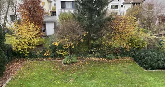 von_poll_real_estate_property_25065044_image_15