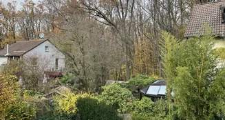 von_poll_real_estate_property_25065044_image_17